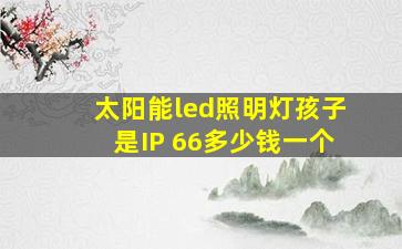 太阳能led照明灯孩子是IP 66多少钱一个